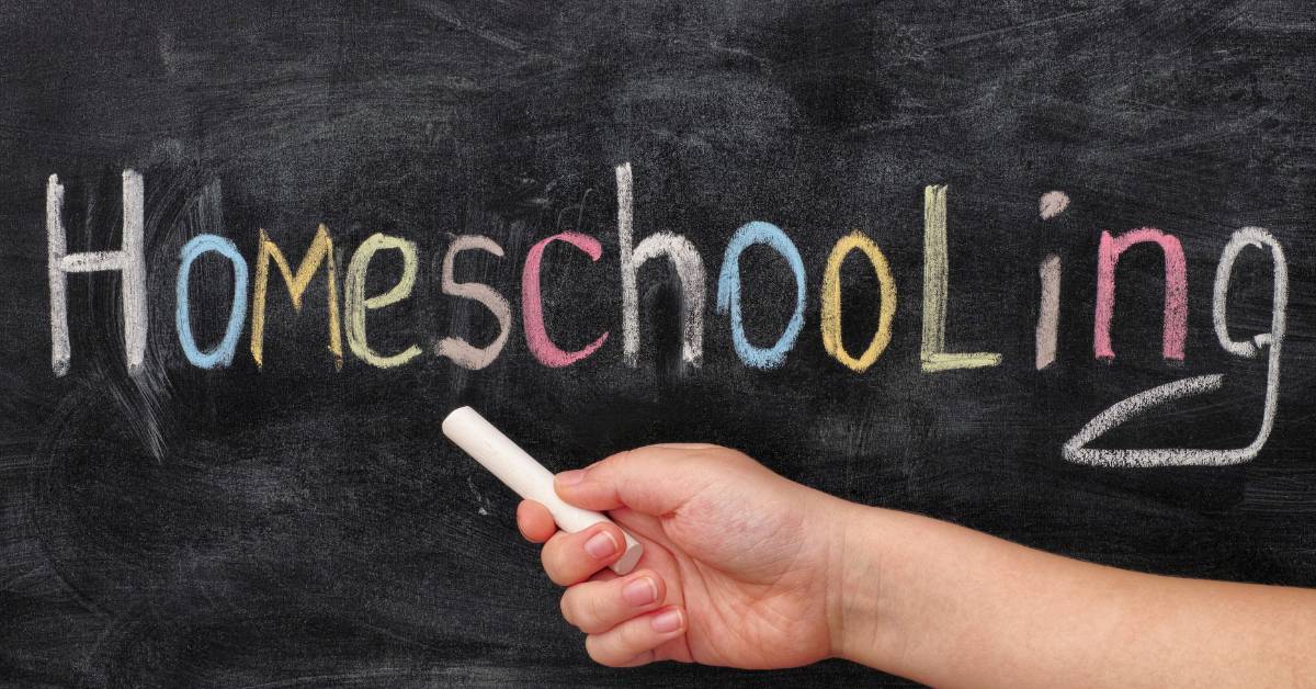 4 things you should consider before homeschooling | AMPed Education
